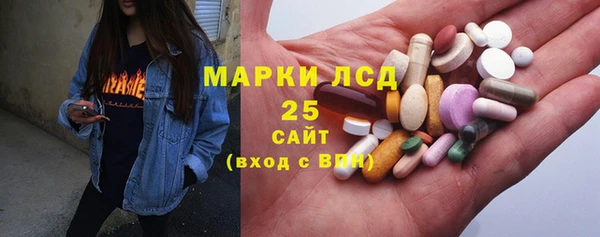 винт Ельня