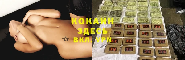 винт Ельня