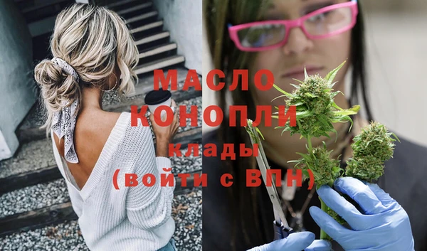 винт Ельня