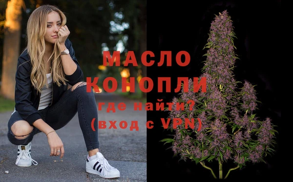 винт Ельня