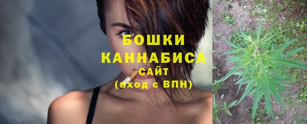 винт Ельня