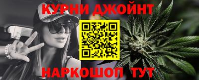 гидра Заводоуковск