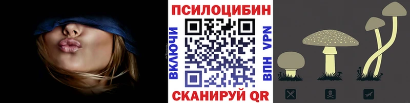 блэк спрут маркетплейс  Каменка  Галлюциногенные грибы MAGIC MUSHROOMS 