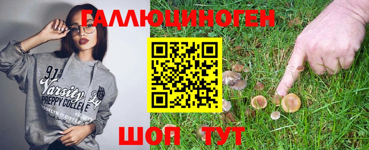 Псилоцибиновые грибы Magic Shrooms  как найти закладки  Каменка  Вход с VPN 