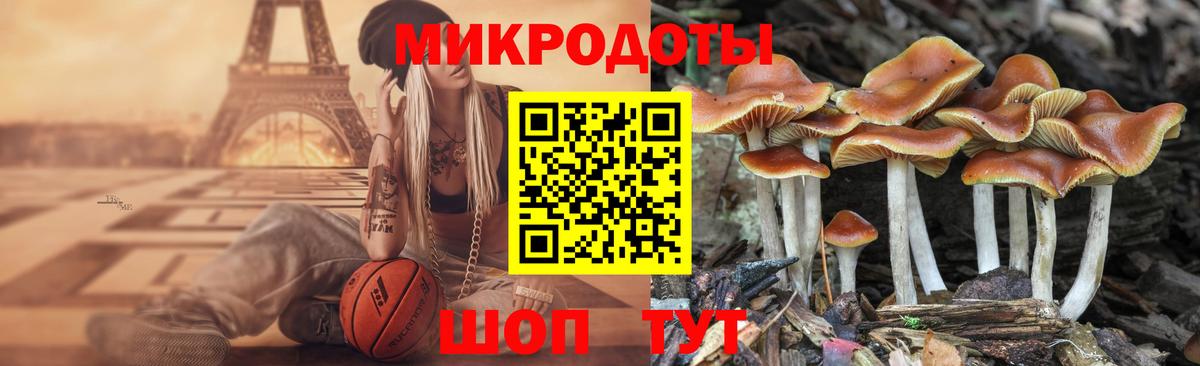 Псилоцибиновые грибы ЛСД Каменка