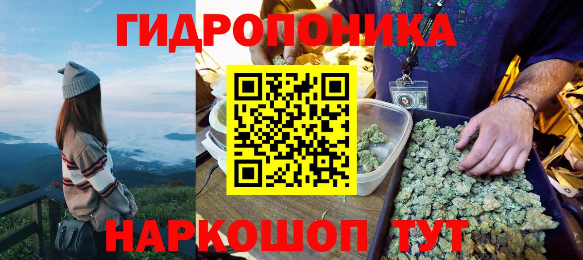 Бошки Шишки планчик Каменка